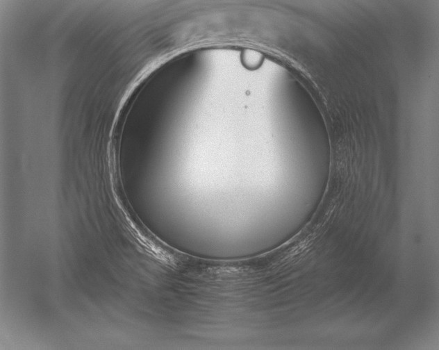 X0000052611517200507081833