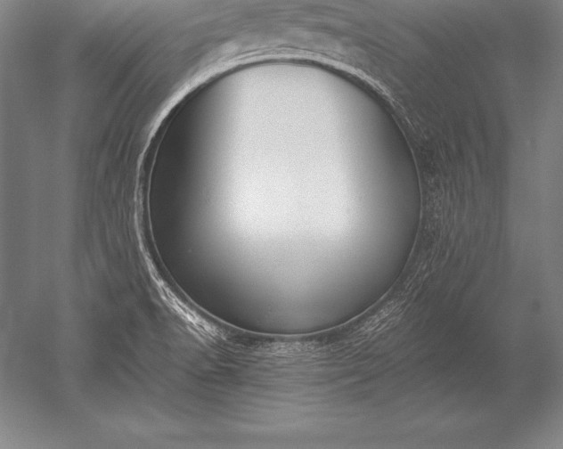 X0000052611518200507081833