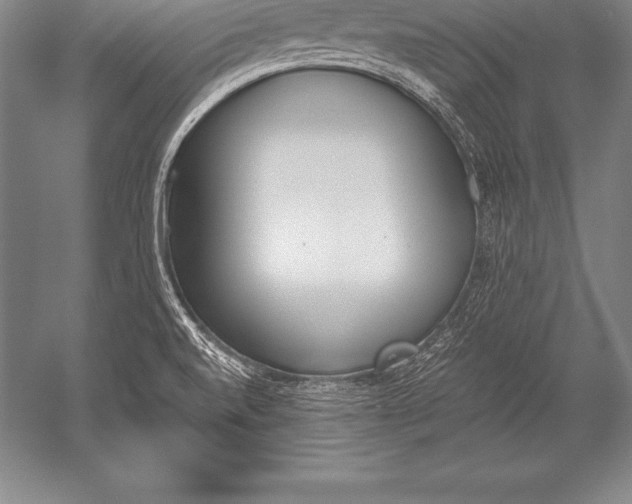 X0000052611520200507081833