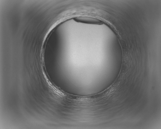 X0000052611522200507081833