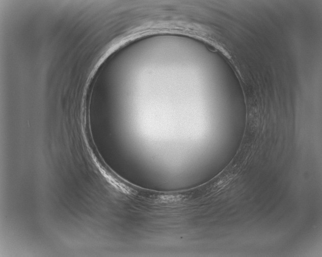 X0000052611523200507081833