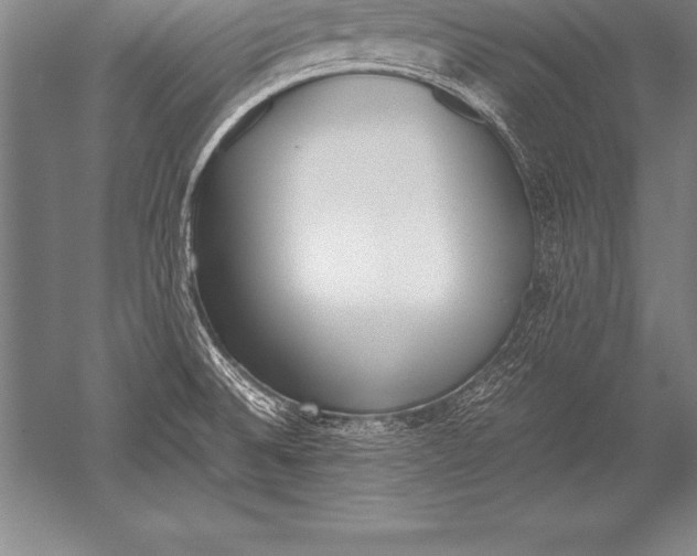 X0000052611524200507081833