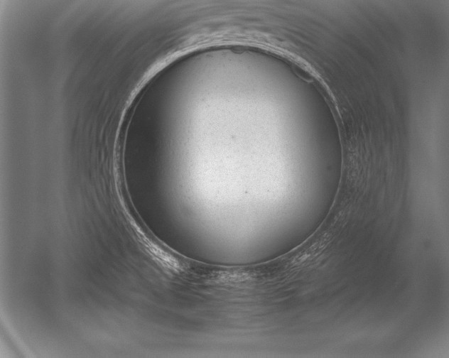 X0000052611525200507081833