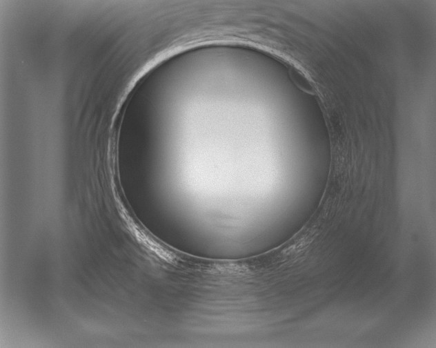 X0000052611526200507081833