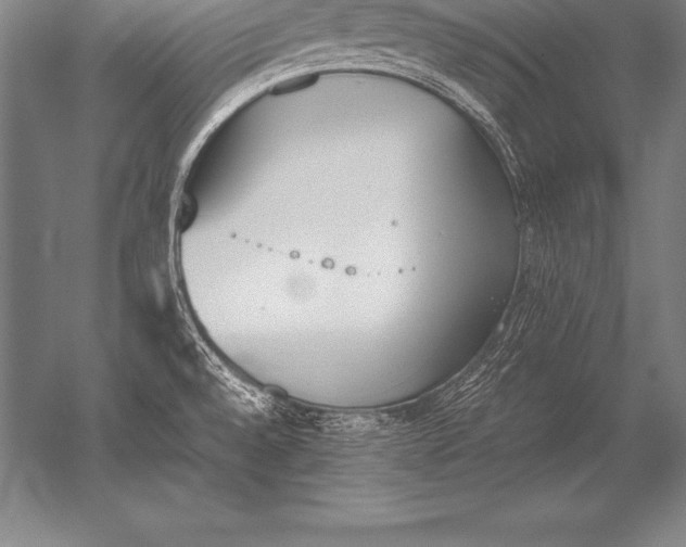 X0000052611528200507081833