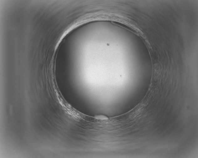 X0000052611530200507081833