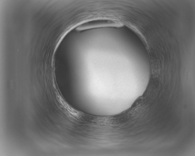 X0000052611532200507081833