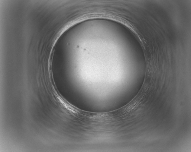 X0000052611535200507081833