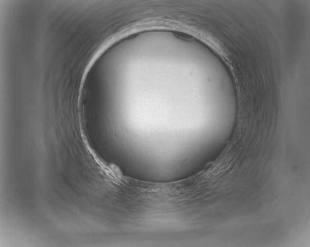 X0000052611536200507081833