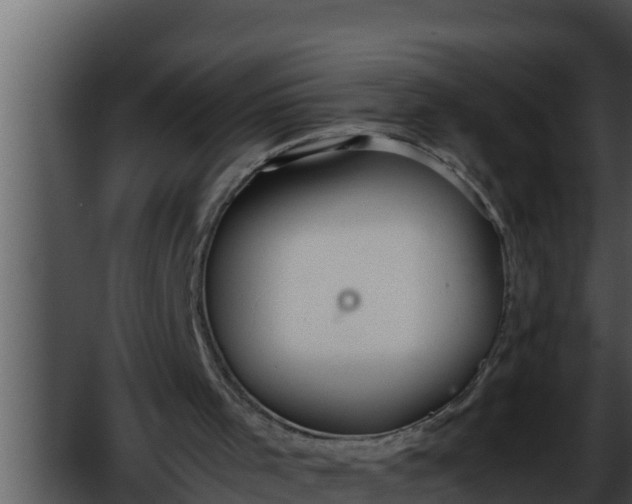 X0000052610001200507160049