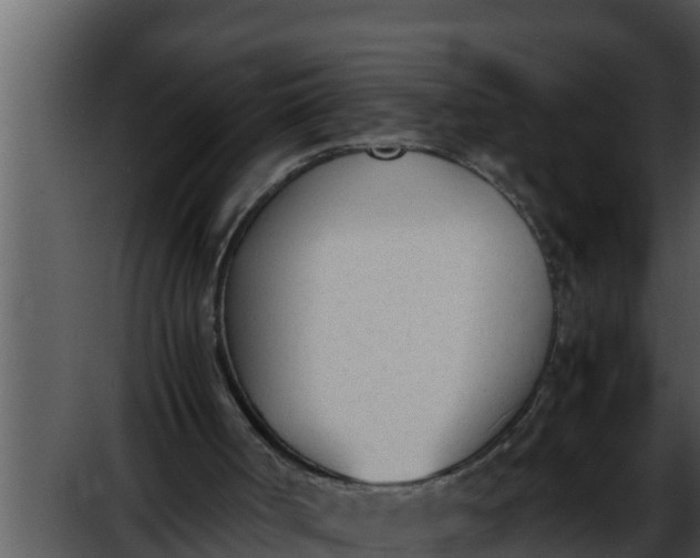 X0000052610002200507160049