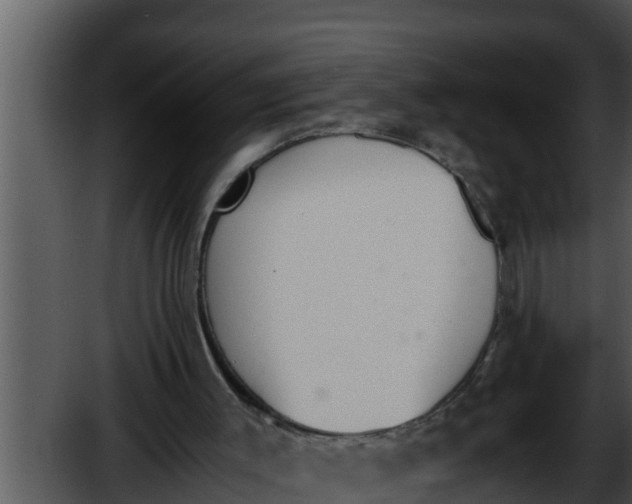 X0000052610003200507160049