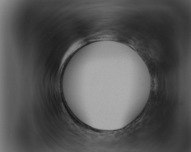 X0000052610004200507160049