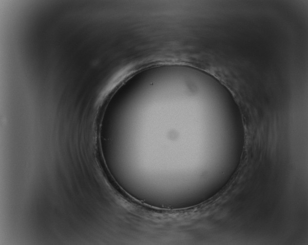 X0000052610005200507160049