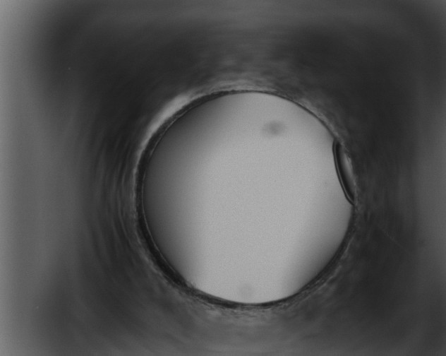 X0000052610008200507160049