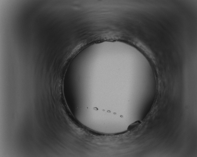 X0000052610009200507160049