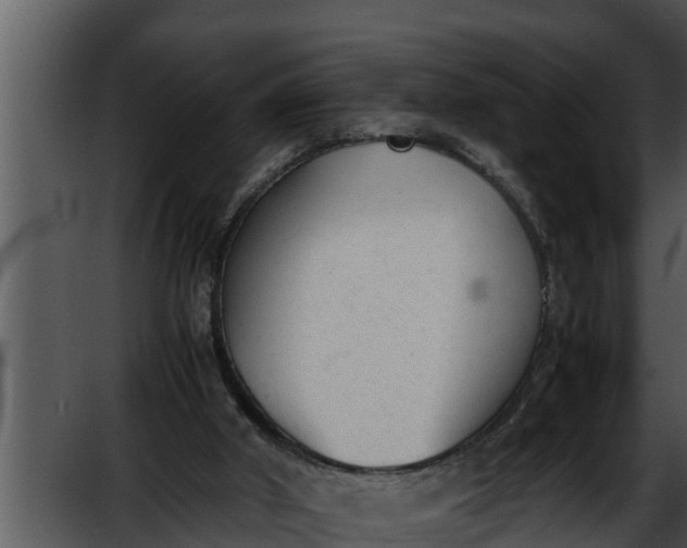 X0000052610010200507160049