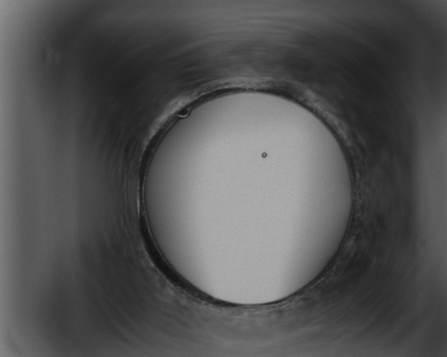 X0000052610011200507160049