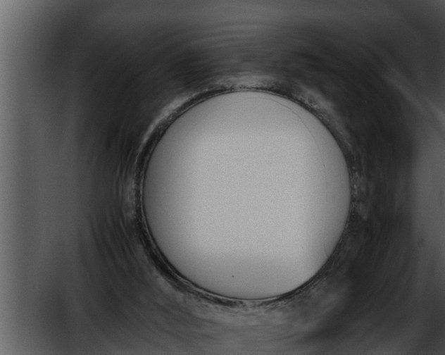 X0000052610012200507160049