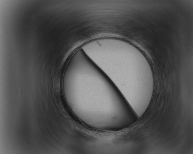 X0000052610015200507160049