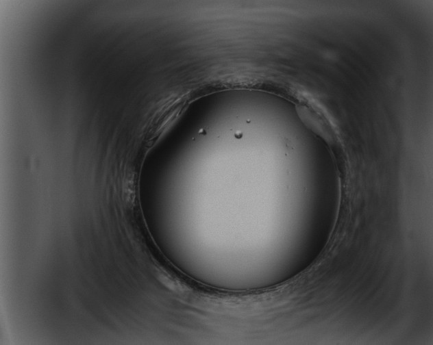 X0000052610017200507160049