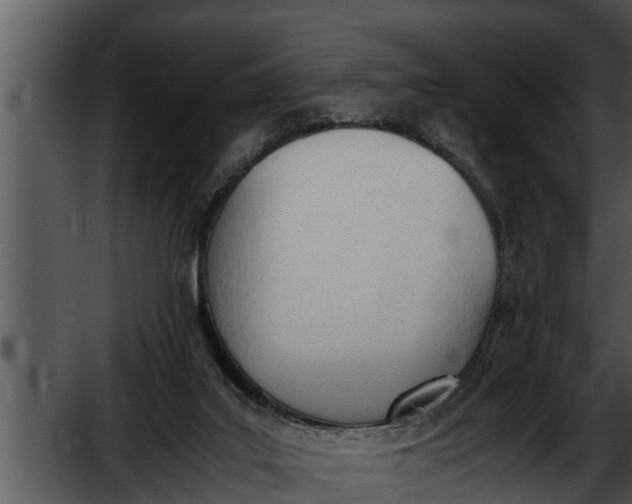 X0000052610019200507160049