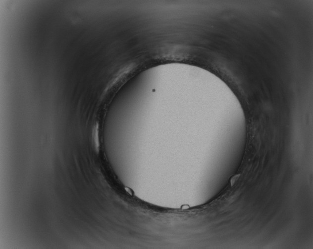 X0000052610020200507160049