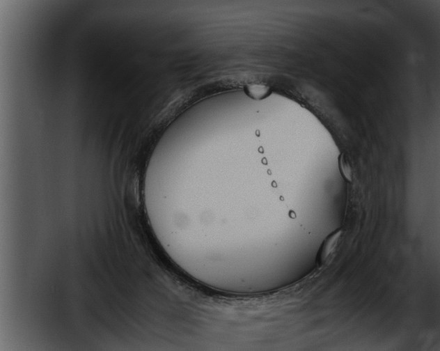 X0000052610021200507160049