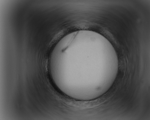 X0000052610023200507160049