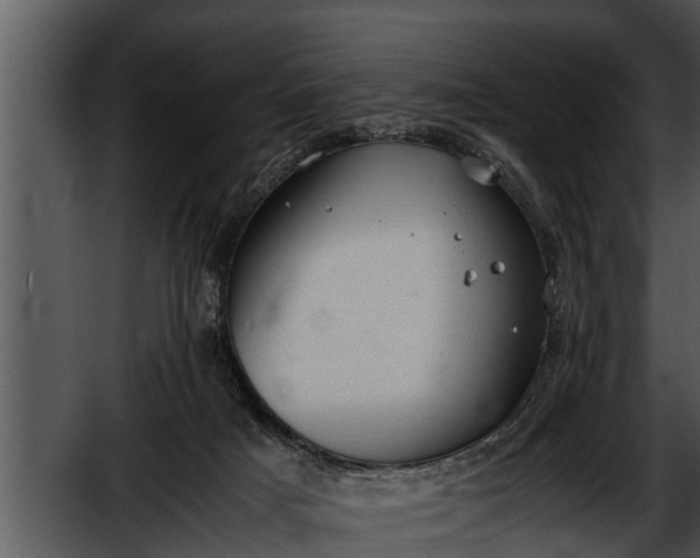 X0000052610025200507160049