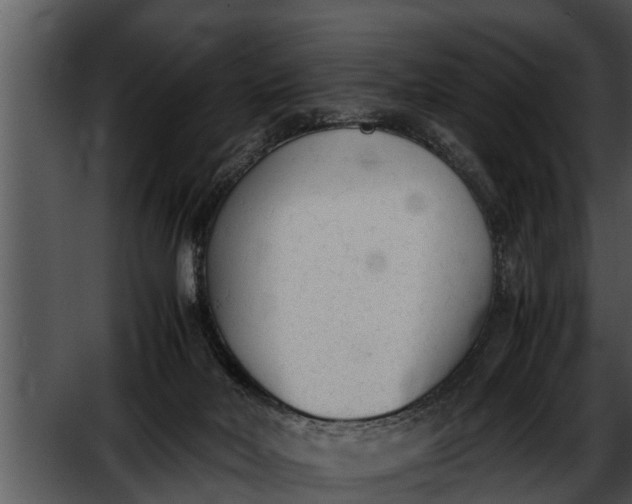 X0000052610026200507160049