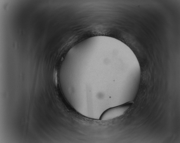 X0000052610027200507160049