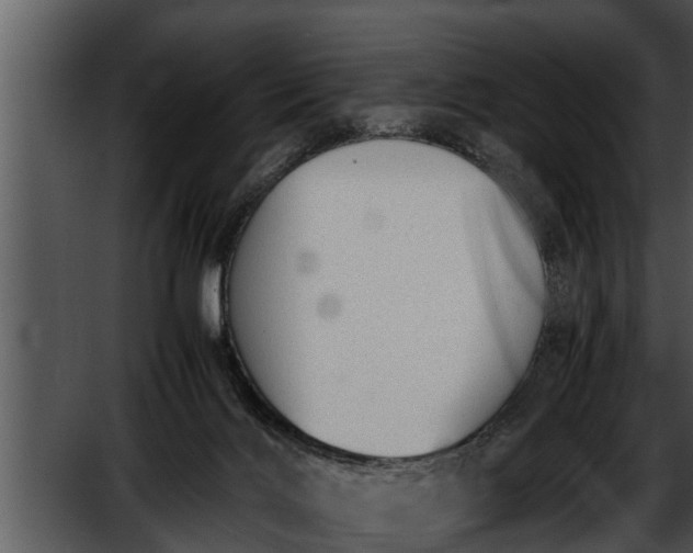 X0000052610028200507160049