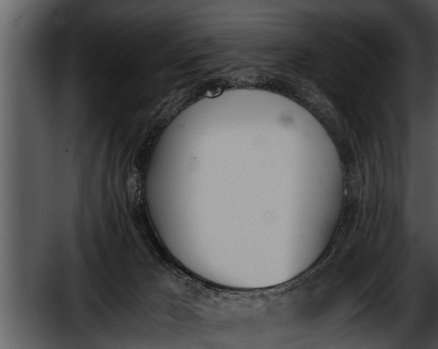 X0000052610029200507160049