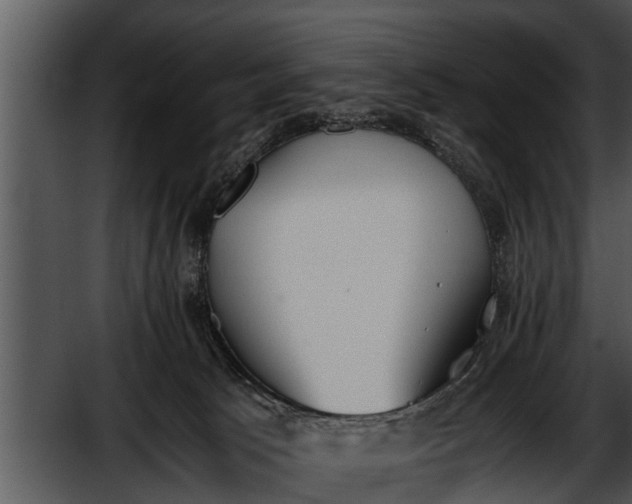 X0000052610033200507160049