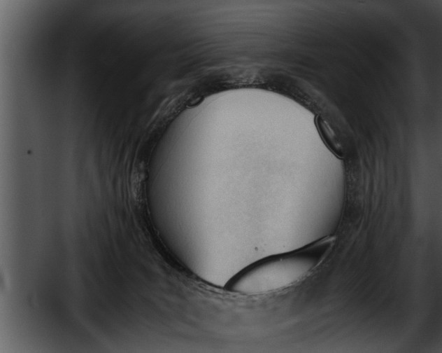 X0000052610035200507160049