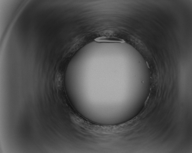 X0000052610037200507160049