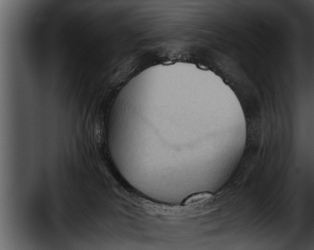 X0000052610039200507160049