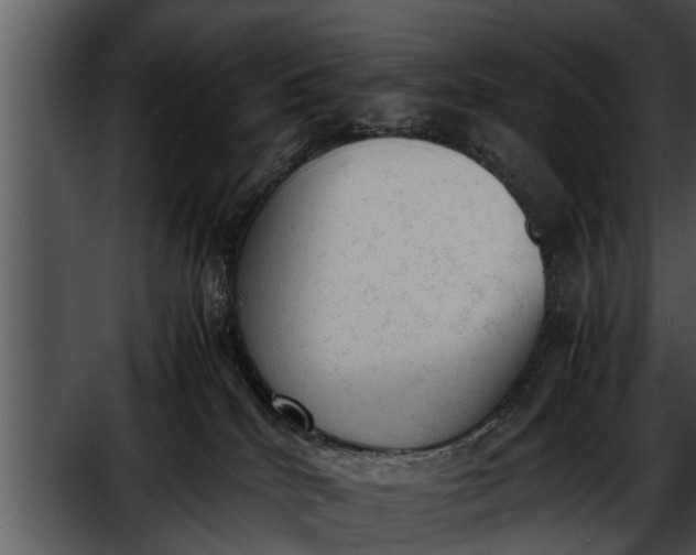 X0000052610040200507160049