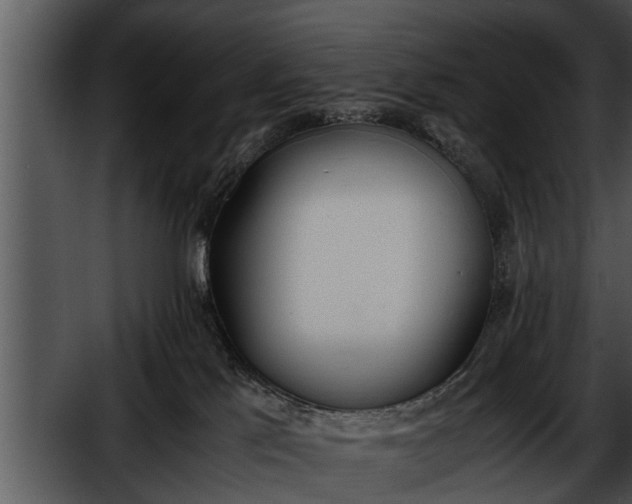 X0000052610041200507160049