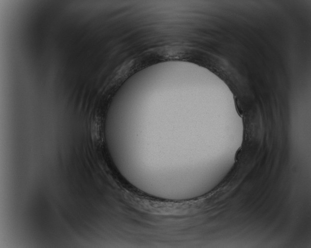 X0000052610044200507160049