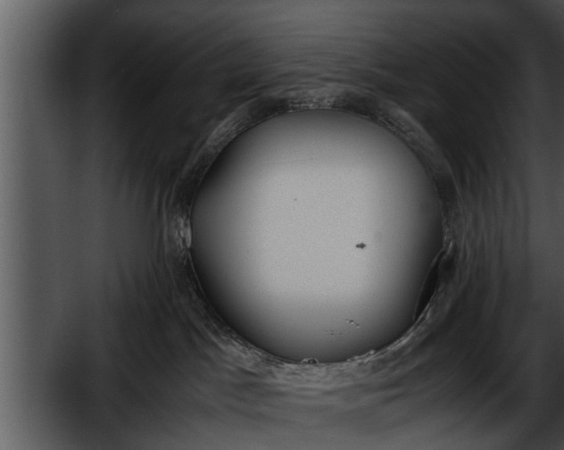 X0000052610045200507160049