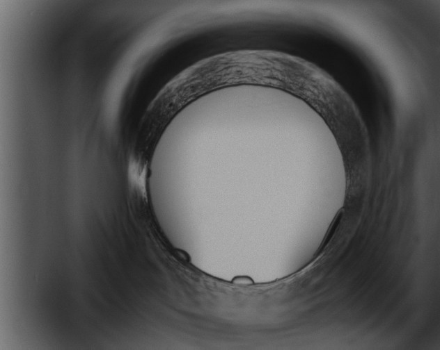 X0000052610047200507160049