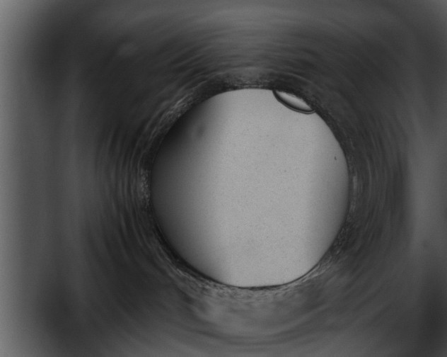 X0000052610048200507160049