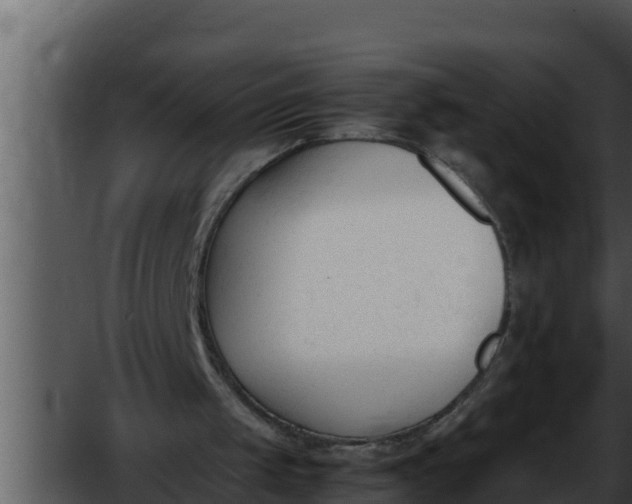 X0000052610049200507160048