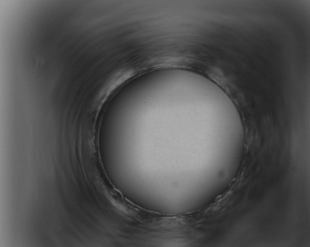 X0000052610050200507160048