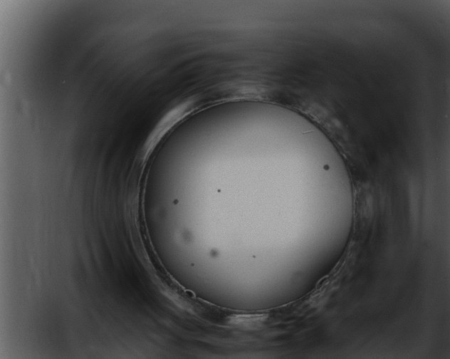 X0000052610051200507160048