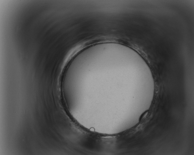 X0000052610053200507160048