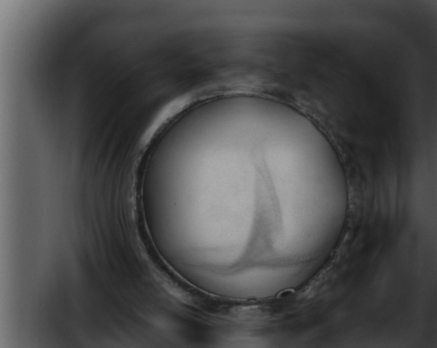 X0000052610054200507160048