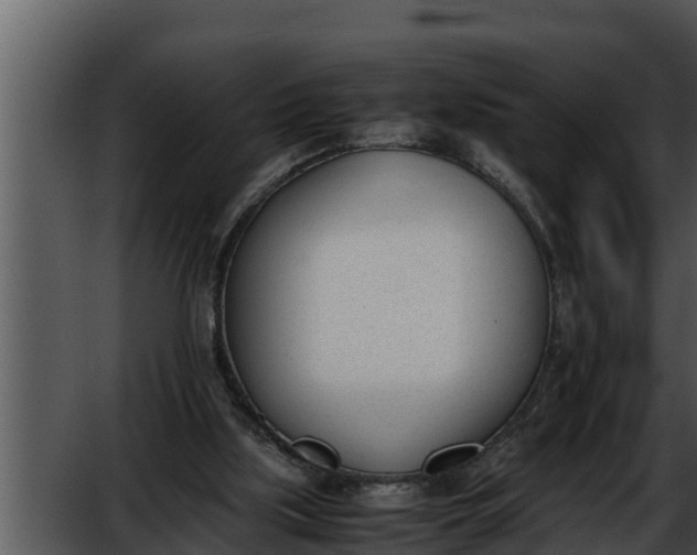 X0000052610059200507160048